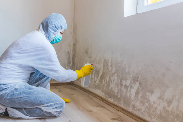 Mold Remediation specialist working in Saxton
