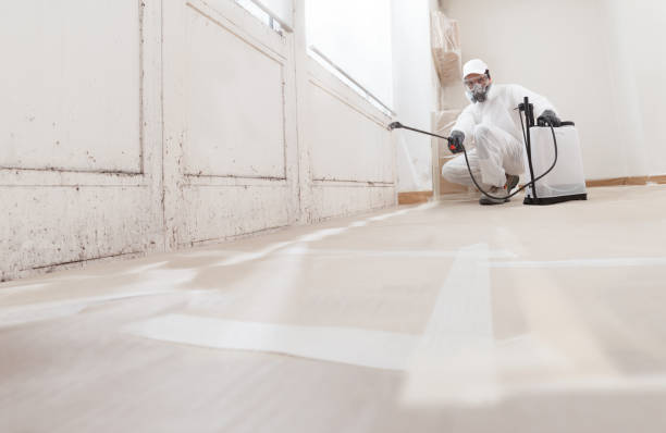 Black mold remediation team in Saxton