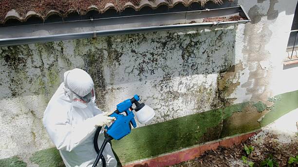 Mold Remediation service in Saxton, Saxton, PA
